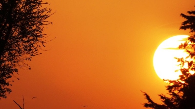 Audiolibro «Miradas Peregrinas»